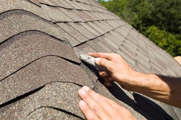 Shingle roof in Martin, GA