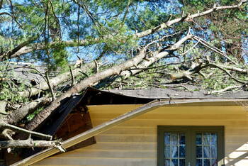 Storm Damage in Mount Airy, Georgia by American Renovations LLC