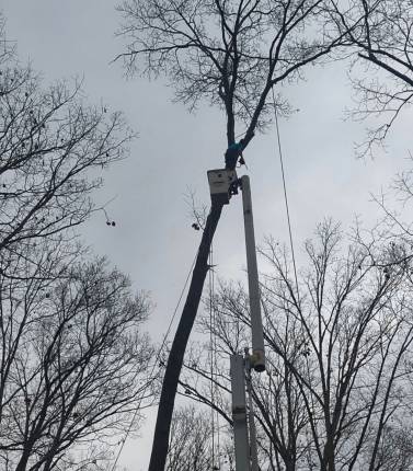 Storm Damage in Anderson, SC (2)