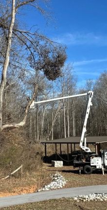 Storm Damage in Anderson, SC (1)